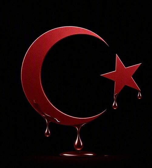 Türk'ün Hafızası